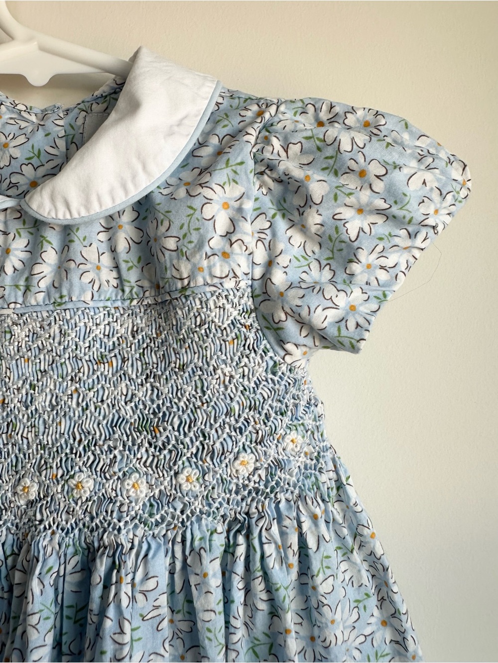Question Everything Floral Hand Smocked Baby Dress - Light Blue & White
